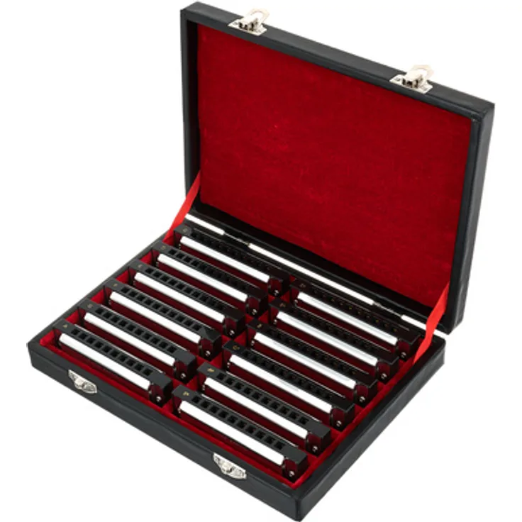 Harley Benton Blues Harmonica Set, 12 Mundharmonikas in verschiedenen Tonarten, Kunststoff Kanzellenkörper, inkl. Koffer