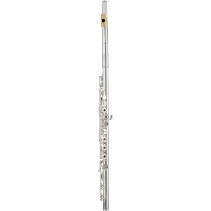 Pearl Flutes Dolce 695 RBE - Vigore, Querflöte mit Sterling Silber Kopfstück, 3K Gold Mundlochplatte, Neusilber versilbert, h-Fuß, handgefertigt