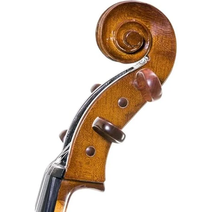 Stentor SR1102 Cello Student I 1/10, Einsteigermodell mit massiver Fichtendecke und Ahornkorpus, inkl. Tasche und Bogen – Bild 3