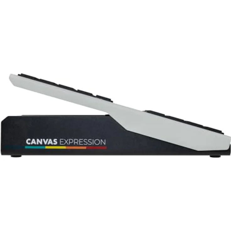 Walrus Audio Canvas Expression Pedal, programmierbares Expression-Pedal mit analogen und MIDI-Ausgängen, schwarz – Bild 2
