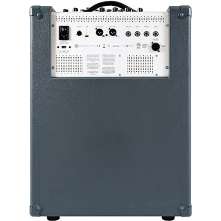Darkglass Infinity 500 Combo 210, 500 Watt E-Bass Transistor Combo mit 2 x 10" Eminence Lautsprechern und DI Out – Bild 4