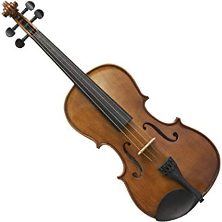 Stentor SR1505 Viola Student II 12", Schülergarnitur mit Etui und Bogen, massive Fichtendecke, massiver Ahornkorpus, Griffbrett und Wirbel aus Ebenholz – Bild 1