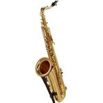 Selmer Axos Tenor Sax, Messing Korpus und Mechanik, goldlackiert, inklusive Mundstück Selmer S80 C*, Axos Light Etui mit Zubehör