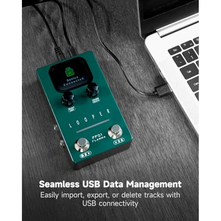 Flamma FF01 Looper, Stereo-Looper mit 40 Speicherplätzen und 150 Minuten Gesamtspielzeit, inkl. USB-C-Anschluss und Netzadapter – Bild 5