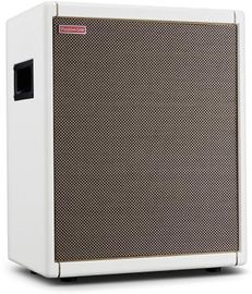 Positive Grid Spark CAB