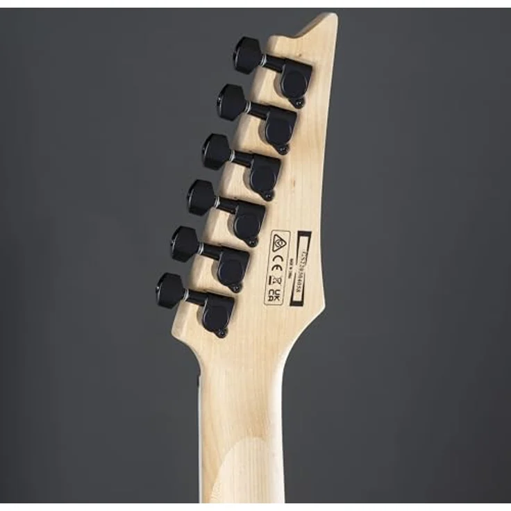 Ibanez Gio GRGR221PA-AQB E-Gitarre, Aqua Burst Finish, ausgewogene Verarbeitung und Materialien – Bild 6