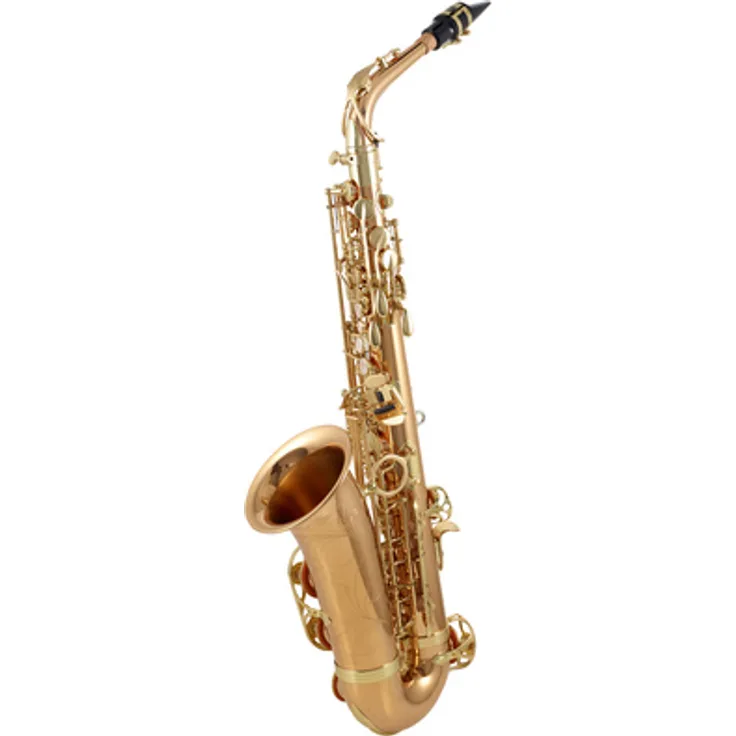 Yanagisawa A-WO2 Alto Saxophon, Professionelles Altsaxophon aus Bronze mit verstellbarem Daumenhalter und neuem Koffer