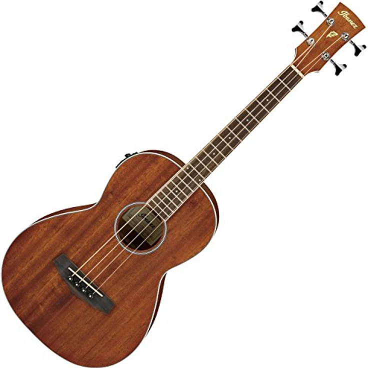 Ibanez PNB14E-OPN Acoustic Bass, Parlor Korpusgröße, Afrikanisches Mahagoni, Fishman Sonicore Tonabnehmer, Open Pore Natural – Bild 2