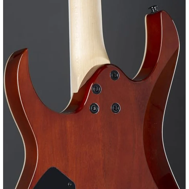 Ibanez Gio GRGR221PA-AQB E-Gitarre, Aqua Burst Finish, ausgewogene Verarbeitung und Materialien – Bild 9