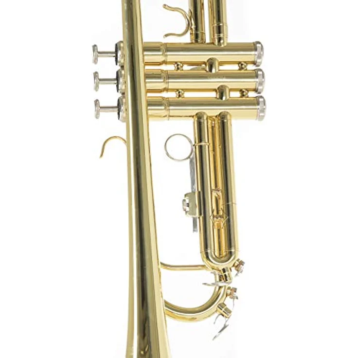 Roy Benson Bb-Trompete TR-101, Professionelle Trompete mit ML Bohrung und Goldmessing Mundrohr, inklusive leichtem Rechtecketui mit Rucksackgarnitur – Bild 5