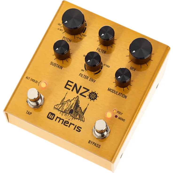 Meris Enzo Multi-Voice Synthesizer, mehrstimmiger Oszillator mit 3 Synth Modi, 16 Presets, MIDI-fähig, Metallgehäuse