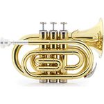 Classic Cantabile Brass TT-500 Bb-Taschentrompete, Messing lackiert, Schallbecherdurchmesser 105mm, inklusive Mundstück und Koffer