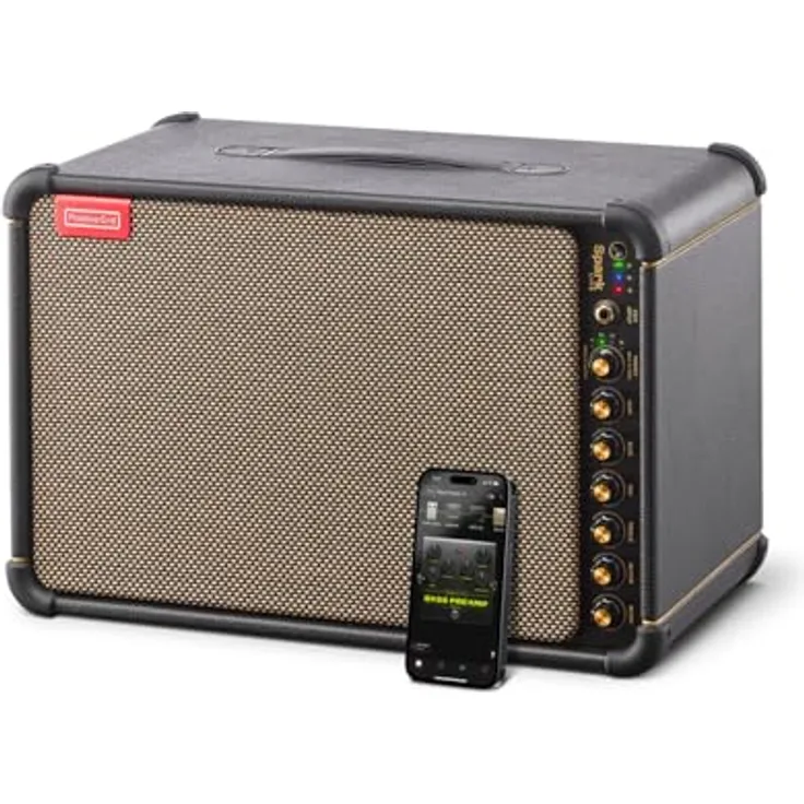Positive Grid Spark Live, 4-Kanal Smart Amp & PA System mit 150 W, schwarz/braun