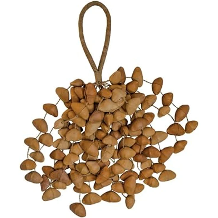 Terre Seed Shaker XXL Cha Cha Nut, Percussion-Instrument mit 70-80 cha cha Nüssen und klarem, präzisem Klang – Bild 2