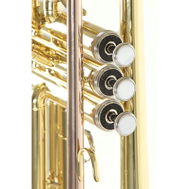 Roy Benson Bb-Trompete TR-101, Professionelle Trompete mit ML Bohrung und Goldmessing Mundrohr, inklusive leichtem Rechtecketui mit Rucksackgarnitur – Bild 4