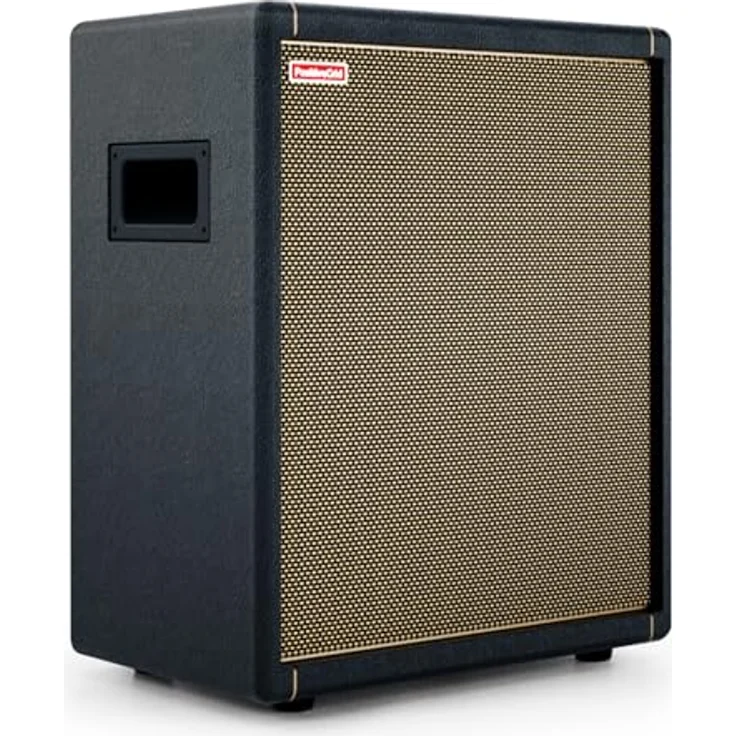 Positive Grid Spark CAB, Gitarrenverstärker-Lautsprecherbox mit 140 Watt RMS, 10 Zoll Tieftöner und USB-C Ausgängen – Bild 1