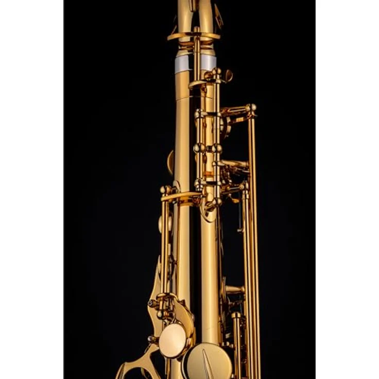 Selmer Signature Tenor Sax SE-TSIL, Bb Tenorsaxophon in Goldlack mit Art-Déco-Gravur, einstellbarer S-Bogen und hochwertigem Zubehör – Bild 4