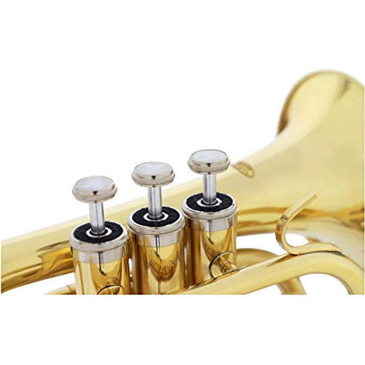 Classic Cantabile Brass TT-500 Bb-Taschentrompete, Messing lackiert, Schallbecherdurchmesser 105mm, inklusive Mundstück und Koffer – Bild 5