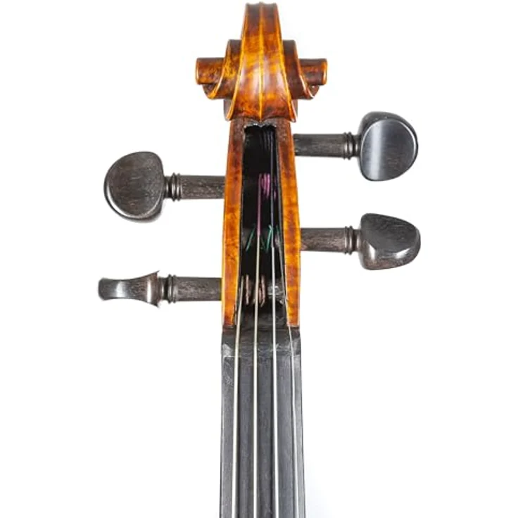 Stentor SR1865 Violine Messina 4/4, handgefertigte Violine mit massiver Fichtendecke und Ahornkorpus, Ebenholz-Griffbrett, Pirastro Besaitung, Schellack-Lackierung – Bild 5