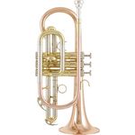 Thomann CR 600 G Bb-Cornet, Monel Ventile, ML-Bohrung, 120mm Goldmessing Schallbecher, lackiert, inkl. Mundstück und Light Koffer