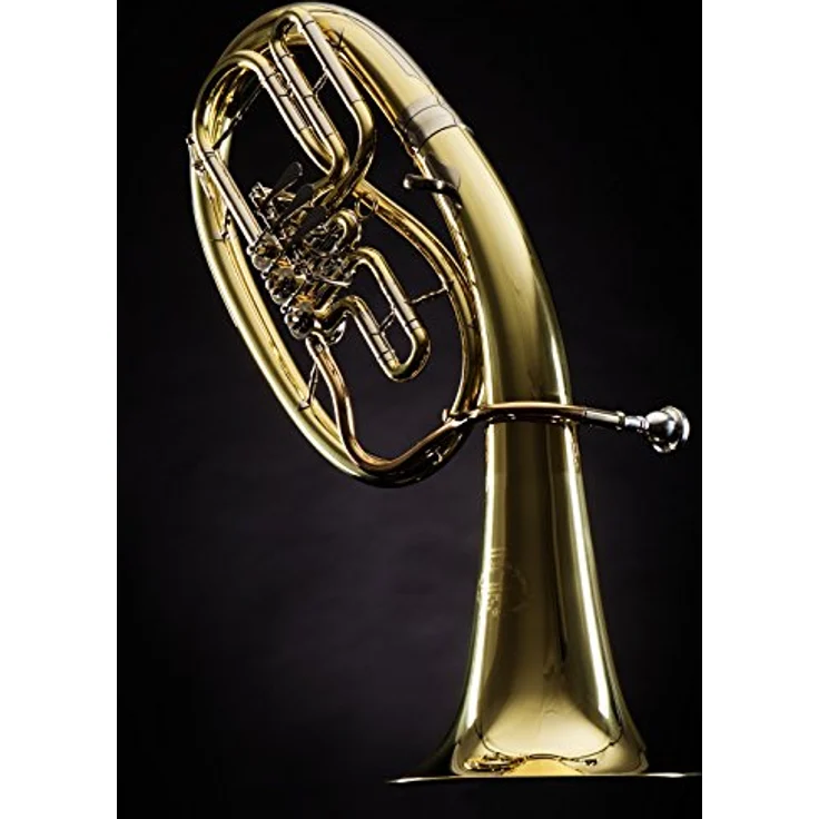 B&S 32/2-L Bb-Tenorhorn, 3 Drehventile, Goldmessing Mundrohr, Klarlack Oberfläche, inkl. Koffer und Mundstück – Bild 2