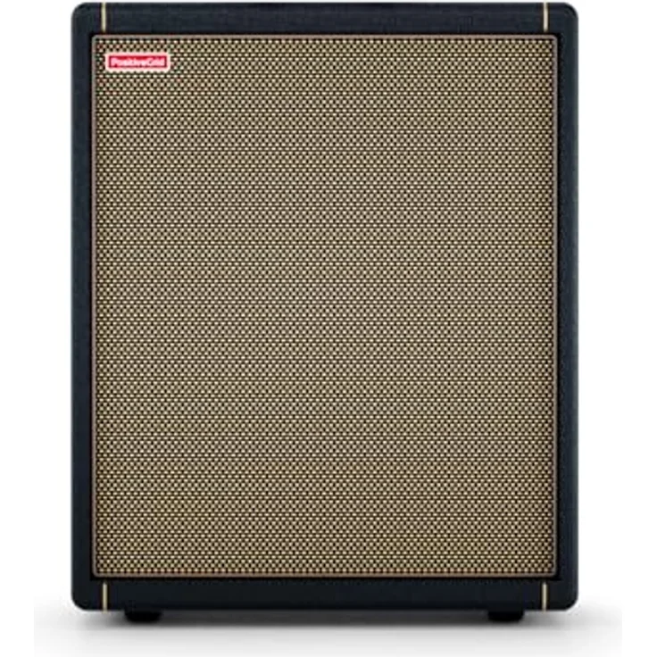Positive Grid Spark CAB, Gitarrenverstärker-Lautsprecherbox mit 140 Watt RMS, 10 Zoll Tieftöner und USB-C Ausgängen – Bild 2