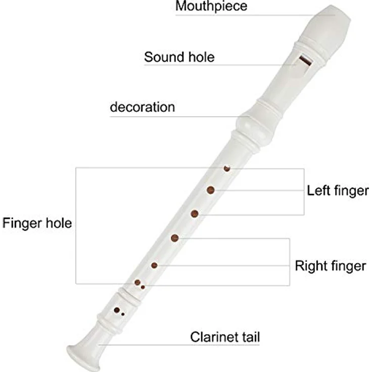 Tioamy Sopran Recorder Flöte, 8-Loch Blockflöte aus Kunststoff in C mit Tasche und Flötenwischer für Kinder, 32 cm, abnehmbares Design, hohe Klangqualität für Anfänger – Bild 3