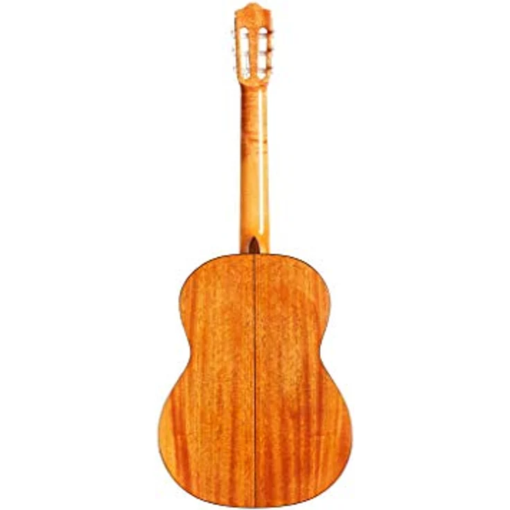 Cordoba C5 Lefthand Iberia, Linkshänder Konzertgitarre mit massiver Zederndecke und Mahagoni-Furnier, Naturfinish – Bild 3