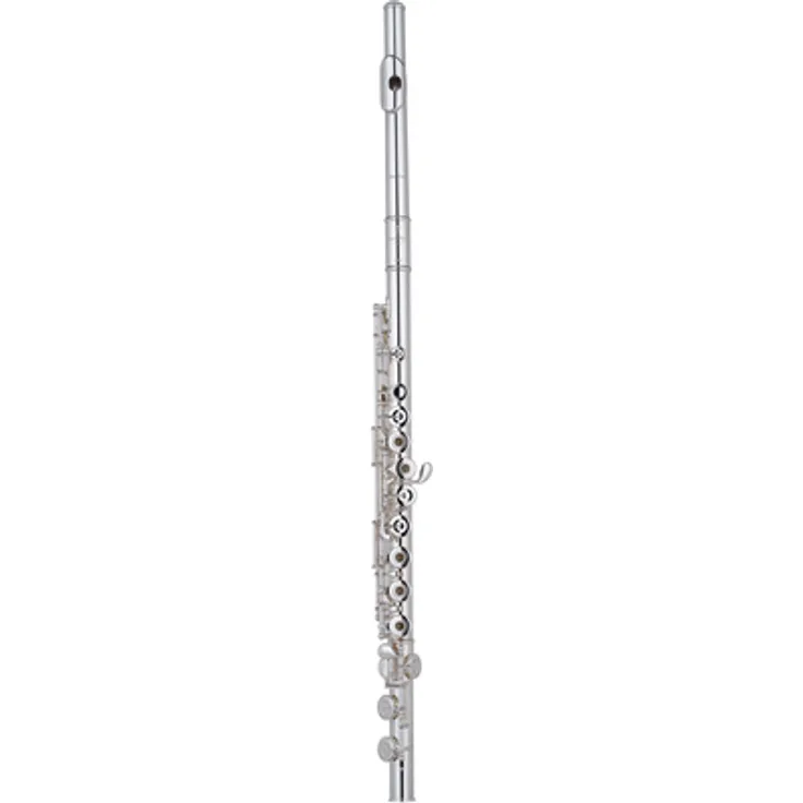 Pearl Flutes Quantz B525RE-HC Querflöte mit Brezza Kopfstück, C-Fuß, Ringklappen und Vollsilber-Mundlochplatte, versilbert