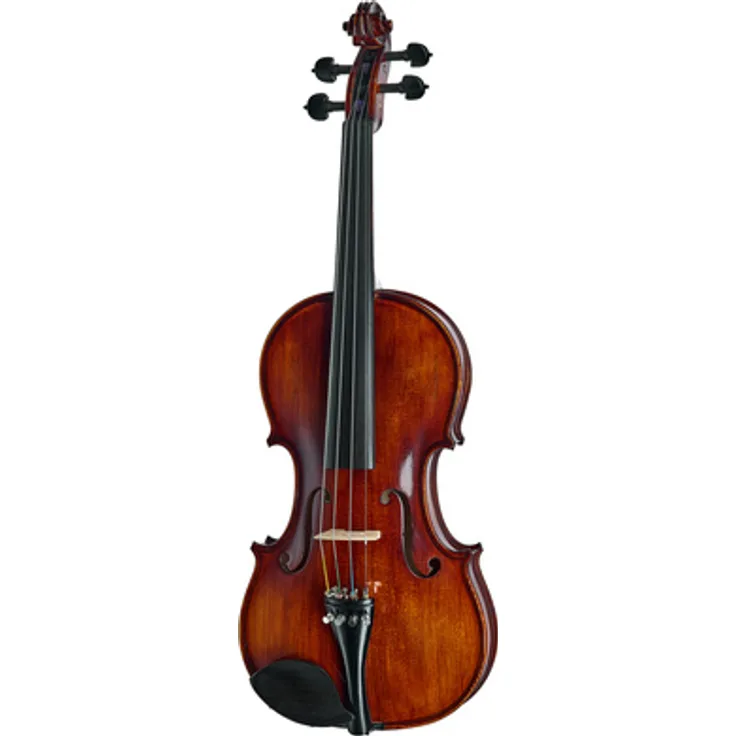 Roth & Junius Bird's Eye Maple Violine St/E, 4/4 Stradivari Modell mit vollmassivem Vogelaugen-Ahorn, Ebenholz Ausstattung und Thomastik Dominant Besaitung, dunkel-braun schattiert