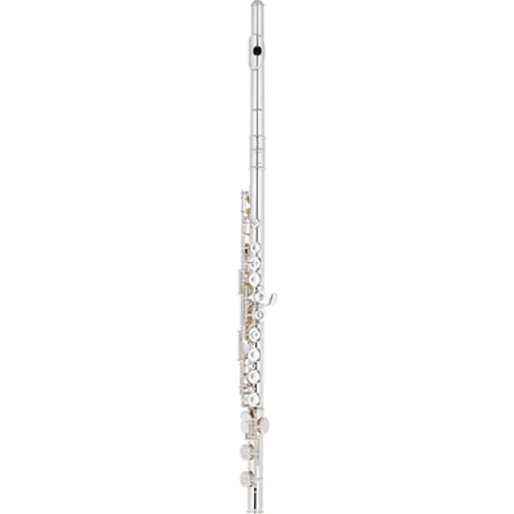Pearl Flutes Quantz B665E-HC, Querflöte mit Vollsilber-Kopfstück, C-Fuß, E-Mechanik und Zubehör im Koffer