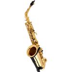 Selmer Axos Alto Sax, Altsaxophon aus Messing mit Goldlack, inklusive Mundstück S80 C* und Etui, hohe F#-Klappe, 2,50 kg