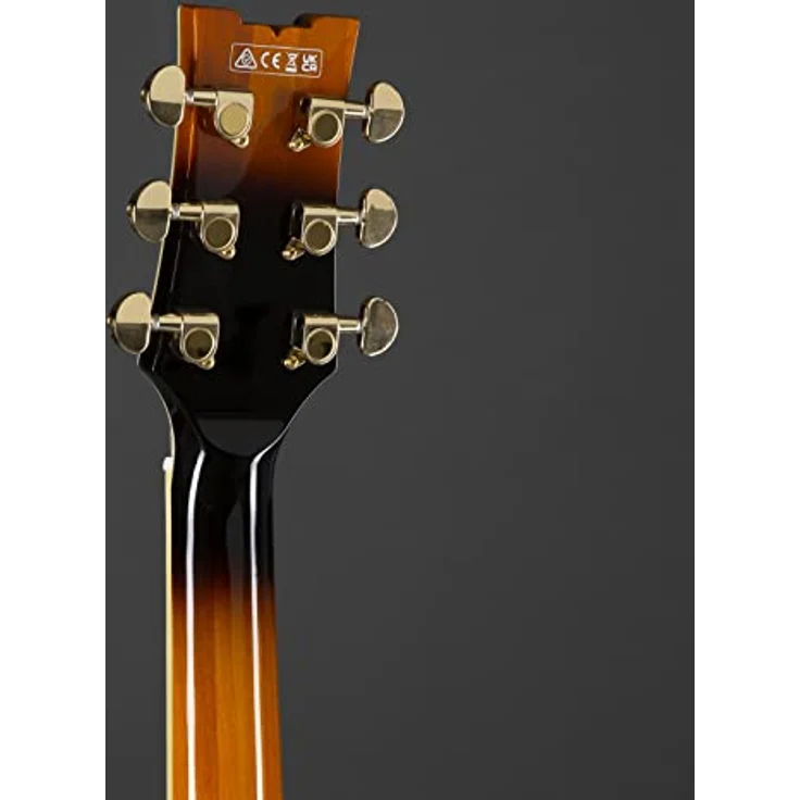 Ibanez AS John Scofield JSM10-VYS Semi Hollow Elektro-Akustikgitarre, Vintage Yellow Sunburst – Bild 5