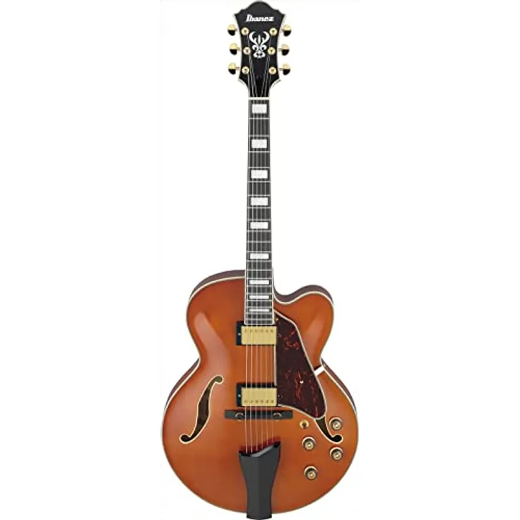 Ibanez Artcore Expressionist AF95-DA, Halbakustik Gitarre im Divine Amber Finish mit Hollow-Body Design