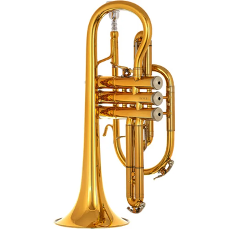 B&S 3142/2-GL Brochon Bb-Cornet, Messing Korpus mit 11,73 mm Bohrung, Goldlack, inkl. Luxus-Koffer und Mundstück