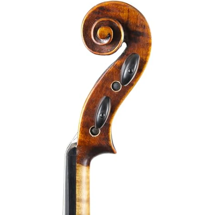 Stentor SR1875 Violine Elysia 4/4, handgefertigt mit massiver Fichtendecke und Ahornkorpus, Ebenholzbestandteilen, inklusive Pirastro Besaitung – Bild 8