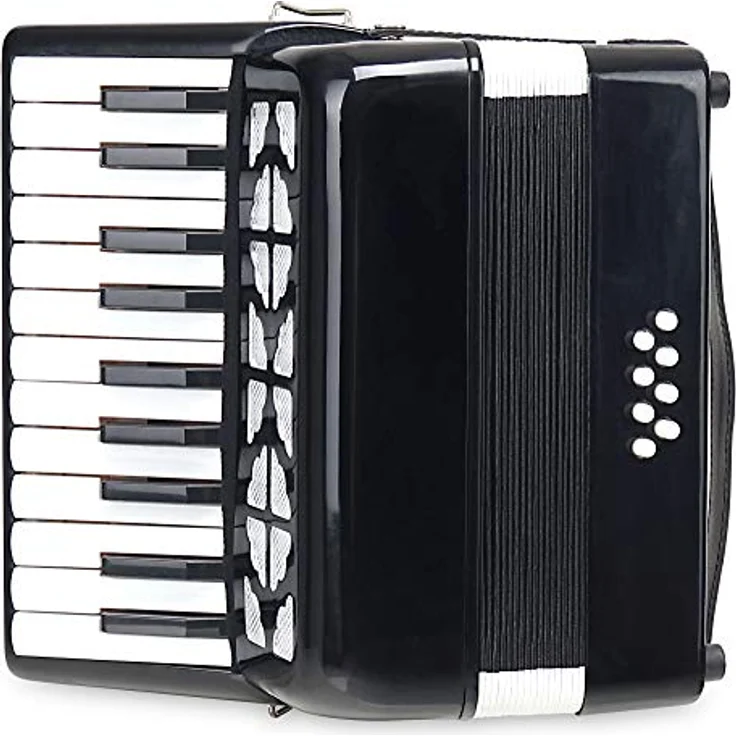 Classic Cantabile Secondo Junior 8-Bass Akkordeon, 22 Diskanttasten, 8 Basstasten, inkl. Tragerriemen und Gigbag, schwarz – Bild 2