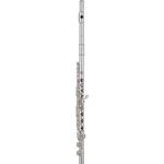 Pearl Flutes Quantz B665RE-HC, Querflöte mit Vollsilber-Kopfstück, Neusilber-Korpus, E-Mechanik und C-Fuß, inklusive Koffer und Zubehör