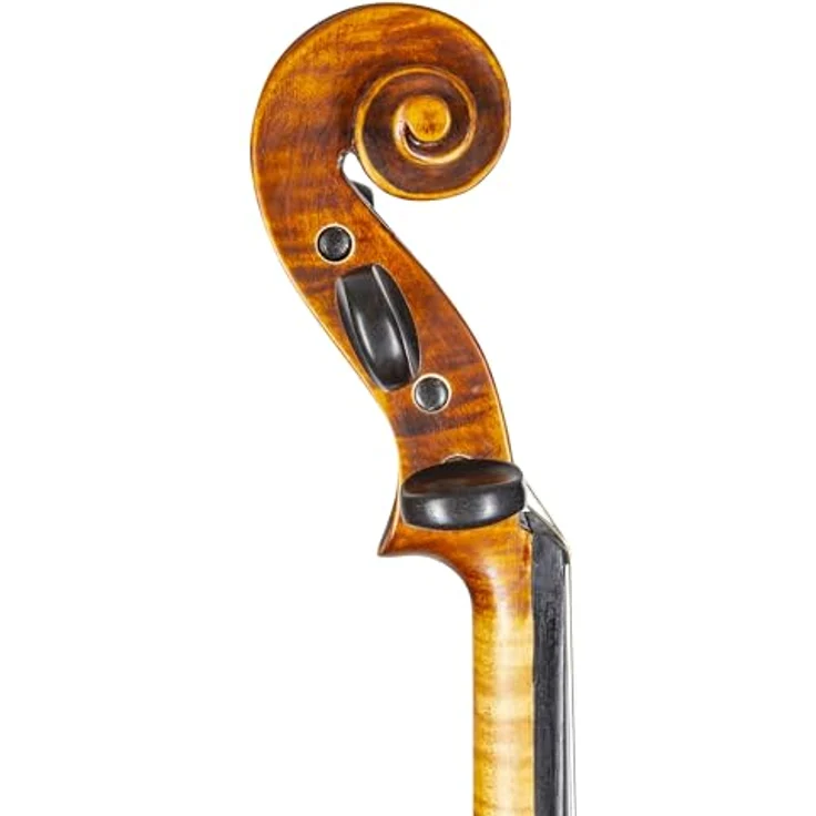 Stentor SR1865 Violine Messina 4/4, handgefertigte Violine mit massiver Fichtendecke und Ahornkorpus, Ebenholz-Griffbrett, Pirastro Besaitung, Schellack-Lackierung – Bild 7