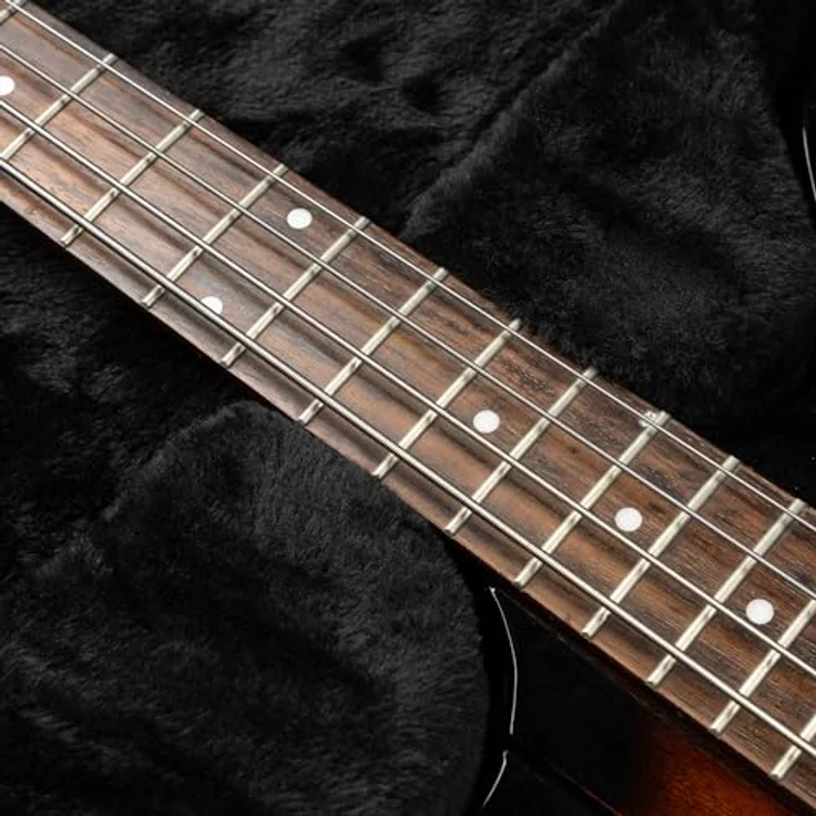 Gator GWE-TBird-Bass, Gitarrenkoffer für Thunderbird E-Bass, Abschließbar, schwarzer Tolex, schwarzes Plüsch-Innenfutter, ergonomischer Tragegriff – Bild 15