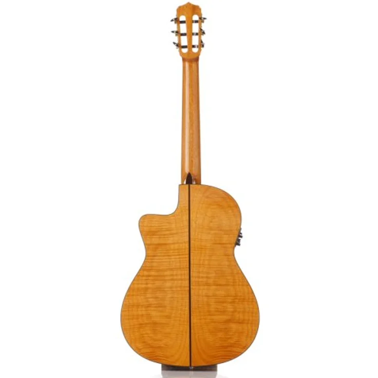 Cordoba Fusion 14 Maple, Konzertgitarre Crossover mit Fishman Pickup, Cutaway, massive Fichtendecke, Ahorn furniert, Hochglanz Finish – Bild 2