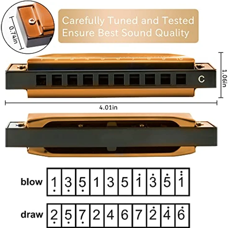 East top Blues-Mundharmonika T10-4-Gold, diatonische Mundharmonika in Tonart C, 10 Löcher, 20 Töne, portable und reaktionsschnell, geeignet für Anfänger und Profis, als Geschenk – Bild 5