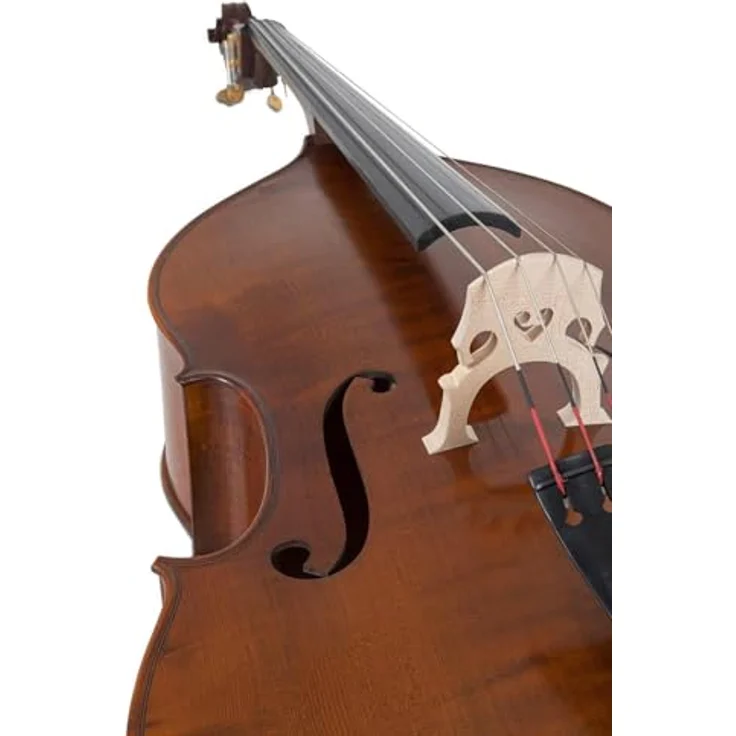 Gewa Premium Line Solid Top DB 1/2, halbmassiver Kontrabass mit massiver Fichtendecke, dunkelbrauner Handlackierung und Ebenholzgriffbrett – Bild 5