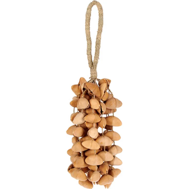 Terre Seed Shaker XXL Cha Cha Nut, Percussion-Instrument mit 70-80 cha cha Nüssen und klarem, präzisem Klang