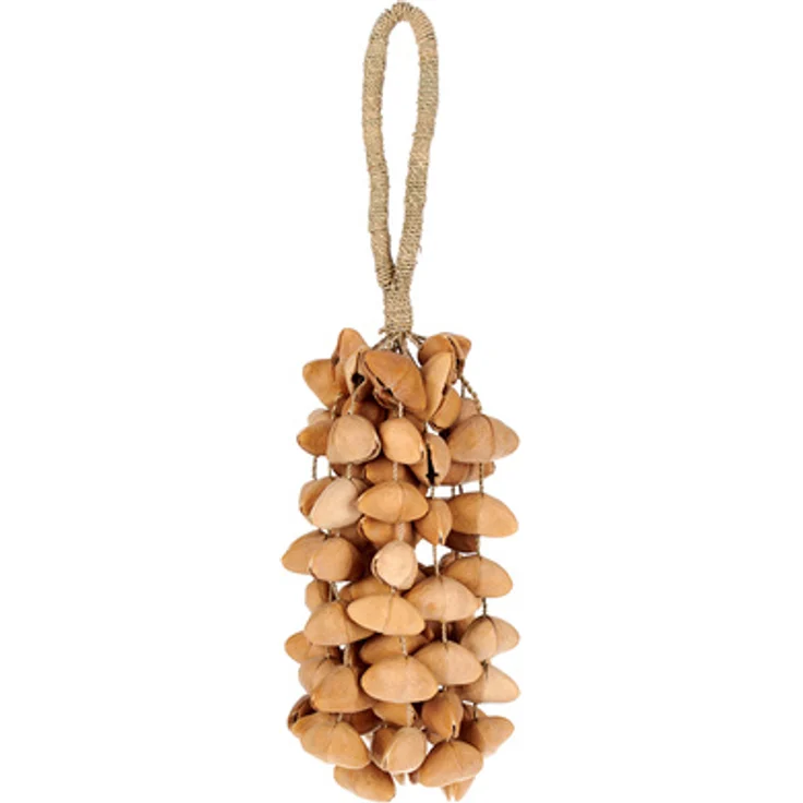 Terre Seed Shaker XXL Cha Cha Nut, Percussion-Instrument mit 70-80 cha cha Nüssen und klarem, präzisem Klang – Bild 1