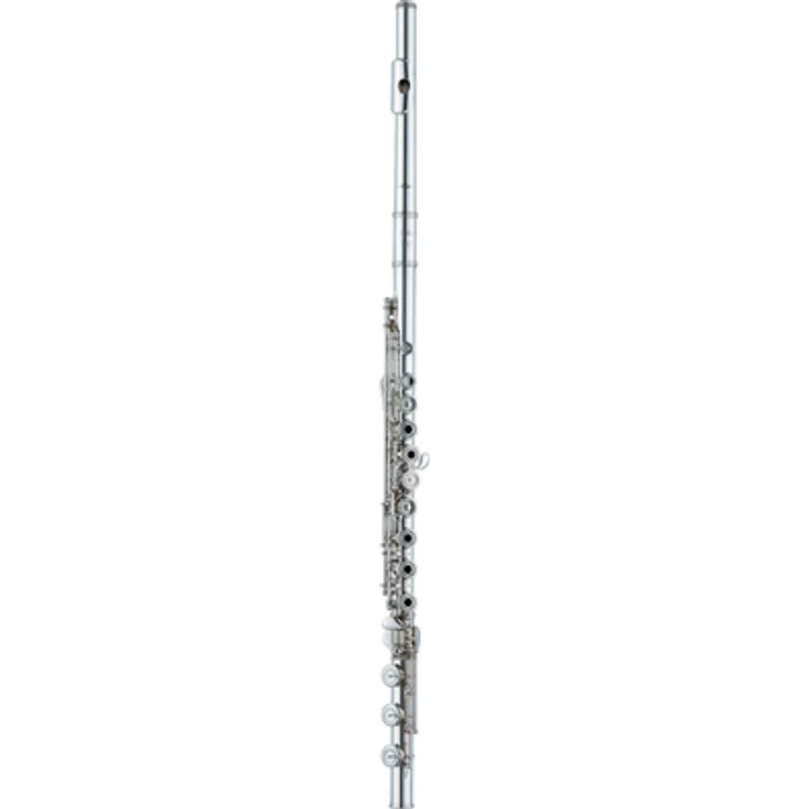 Altus AS-A11 RBEO-S, Querflöte aus Britanniasilber (958) mit E-Mechanik, H-Fuß und S-Cut Mundloch, inkl. Etui und Tasche
