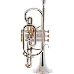 Besson BE2028-2 Prestige Bb-Cornet, handgefertigter Messing Schallbecher, versilbert, Ø 11,89mm L-Bohrung, Monelventile, inkl. Holzkoffer und RW 3 Mundstück