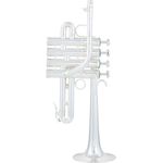 Schilke P5-4 Butler/Geyer, Piccolo Trompete mit 4 Ventilen, versilbertem Messing, Sattel am ersten und Ring am dritten Zug, inkl. Koffer und Mundstück