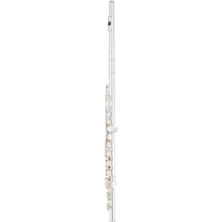Altus AS-A10 EO-S Flute, Querflöte mit Sterlingsilber (925) Mundlochplatte, C-Fuß, geschlossene Klappen, E-Mechanik und inkl. Etui