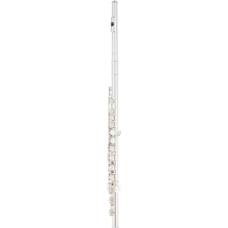 Altus AS-A10 EO-S Flute, Querflöte mit Sterlingsilber (925) Mundlochplatte, C-Fuß, geschlossene Klappen, E-Mechanik und inkl. Etui